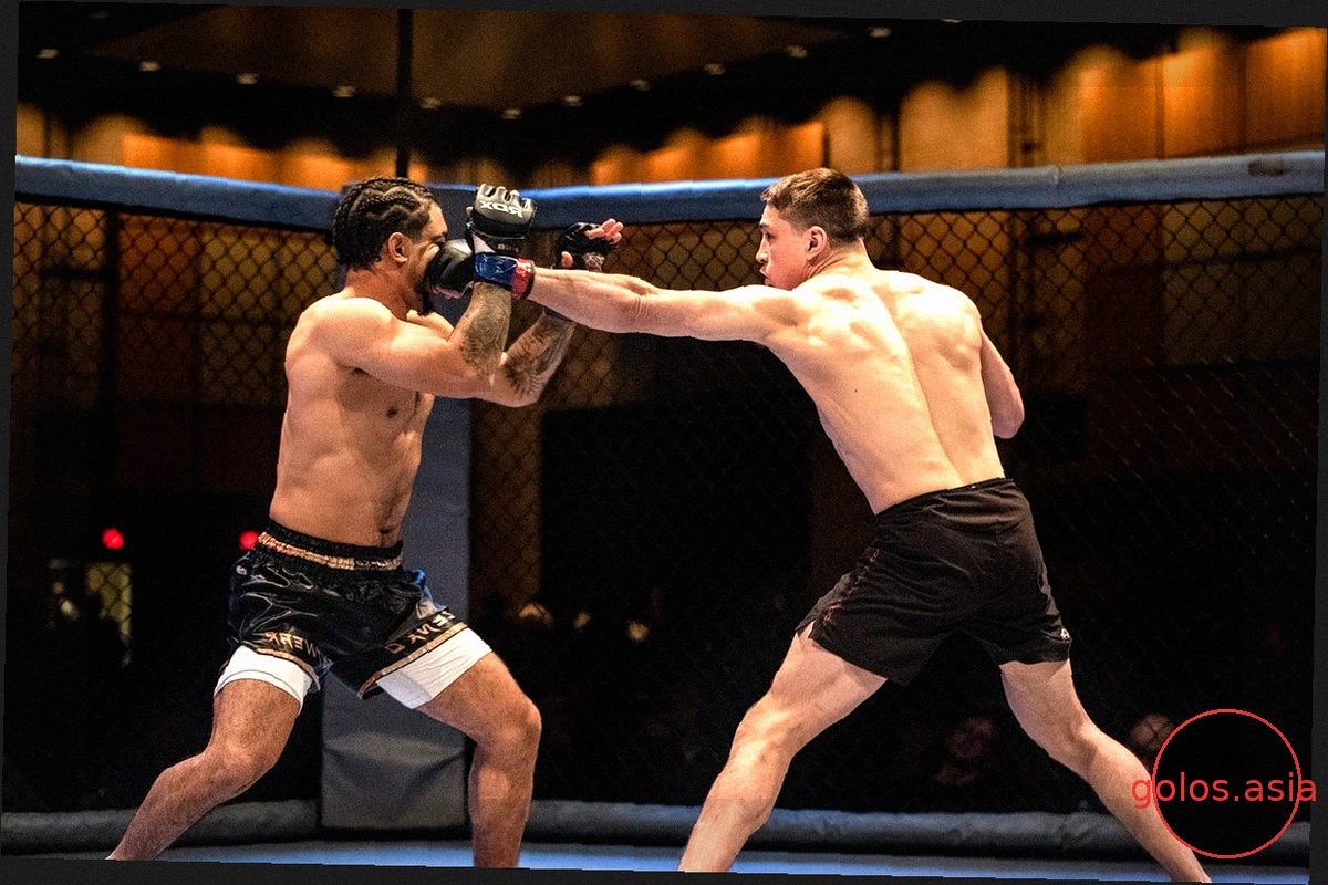 Как легально смотреть региональные промоушены MMA