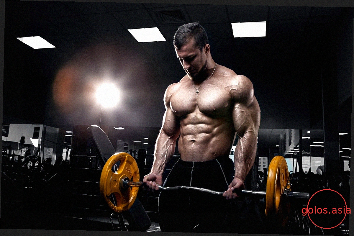 SARMs и пептиды для восстановления в ММА: Научный взгляд