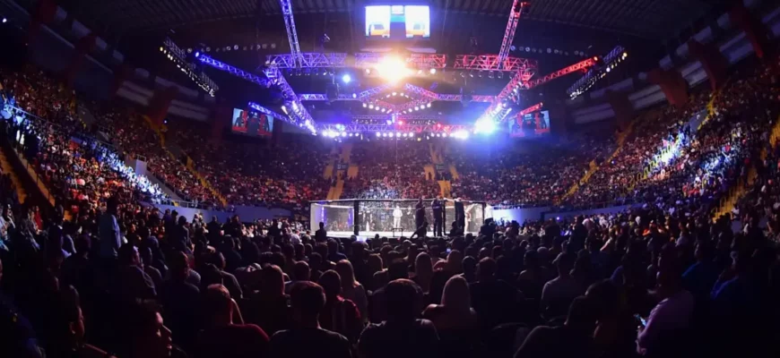 UFC в 1Win и Mostbet